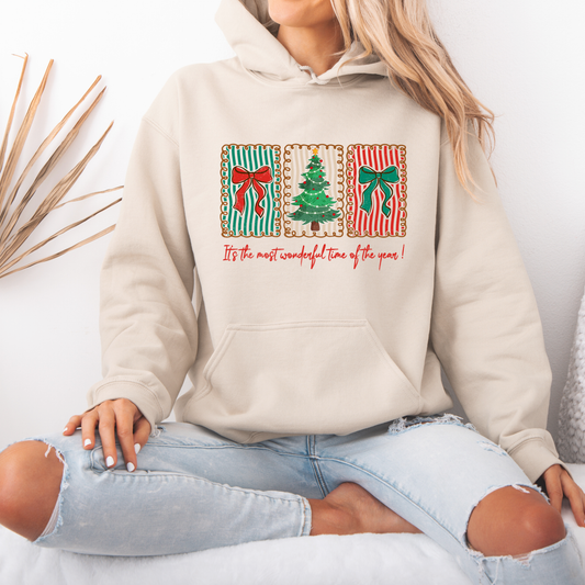 🍬 Sweet Holiday Cheer 🎄  Luxuriously Thick Hoodie