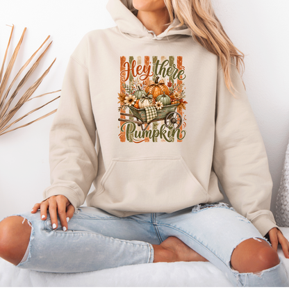 🎃 Hey There Pumpkin Autumn Hoodie 🍂