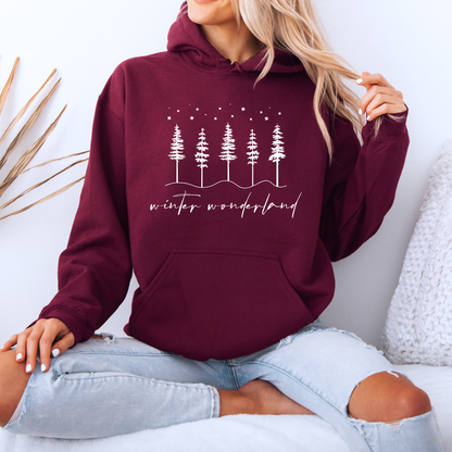 ❄️ Winter Wonderland ⛄  Luxuriously Thick Hoodie