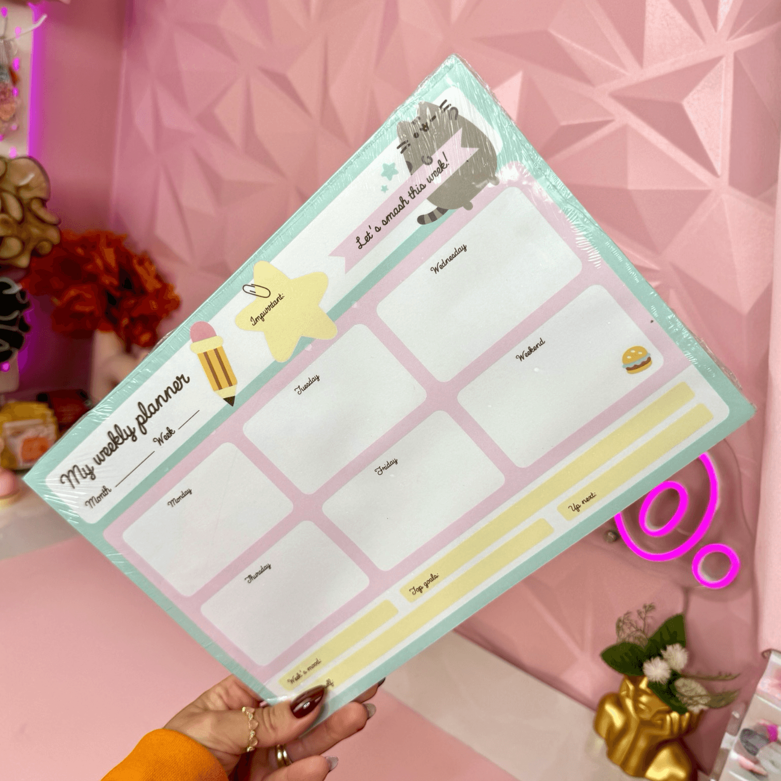 Pastel Pusheen Desk Planner Pad