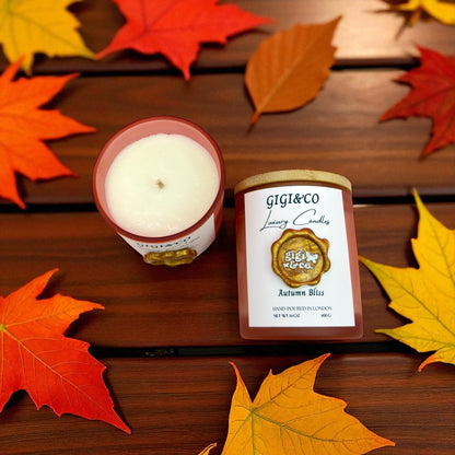 Autumn Bliss – Spiced Comfort Candle 🍂🍎🕯️